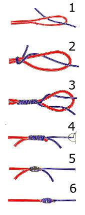 albright knot